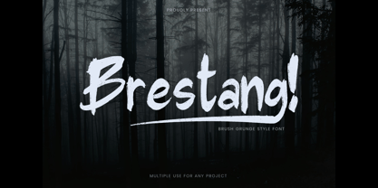 Brestang Thriller Font Font Poster 1