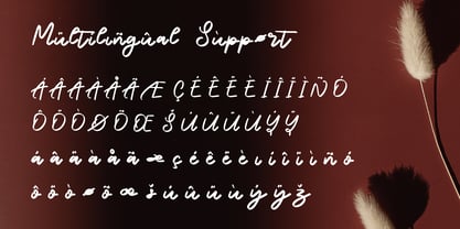 Naraine Font Poster 6