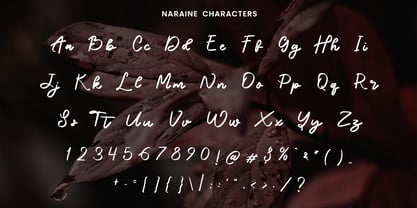 Naraine Font Poster 3