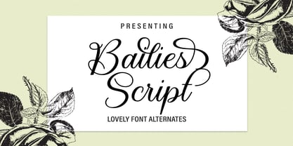 Bailies Script Font Poster 1