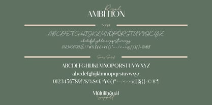 Royal Ambition Font Poster 8