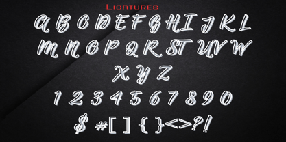 Questions Modern Serif Font Poster 7