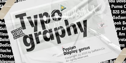 Popten Display Font Poster 5