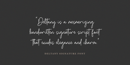 Deltany Signature Font Poster 5
