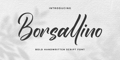 Borsallino Font Poster 1