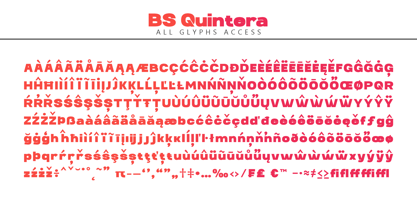 Bs Quintera Font Poster 8