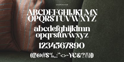 Sodabery Modern Serif Font Poster 10