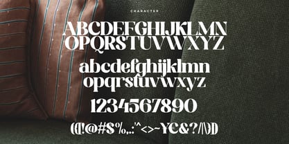 Sodabery Modern Serif Fuente Póster 10