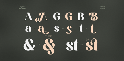 Sodabery Modern Serif Font Poster 9