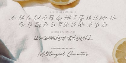 Blueberry and Lemonade Font Poster 15