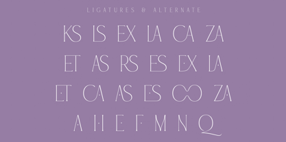 Equality Serif Font Poster 12
