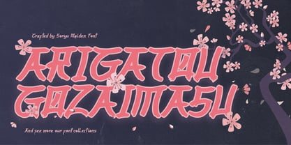 Soryu Maiden Font Poster 14