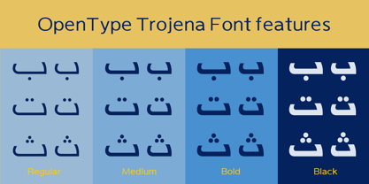 SF Trojena Font Poster 10