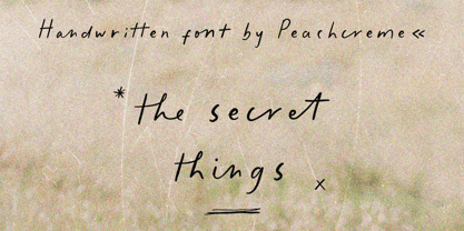 The Secret Things Font Poster 1