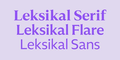 Leksikal Serif Font Poster 10