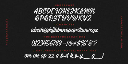 Break Fridays Font Poster 6