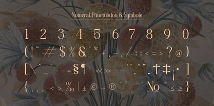 Genastaq Font Poster 11