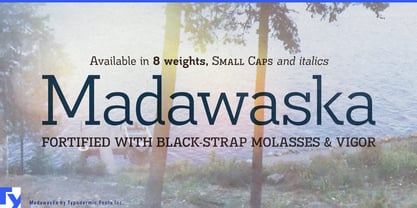 Madawaska Font Poster 1