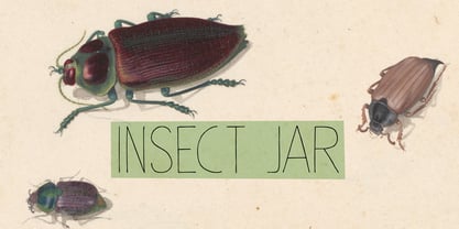 Insect Jar Font Poster 1