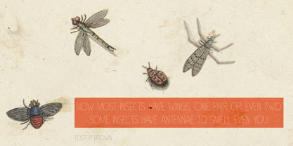 Insect Jar Font Poster 3