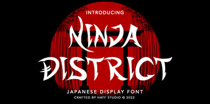 Ninja District Fuente Póster 1