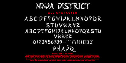 Ninja District Fuente Póster 7