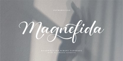 Magnefida Font Poster 1