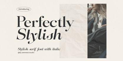 Perfectly Stylish Font Poster 1