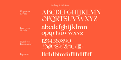 Perfectly Stylish Font Poster 14