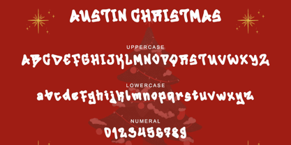 Austin Christmas Fuente Póster 5