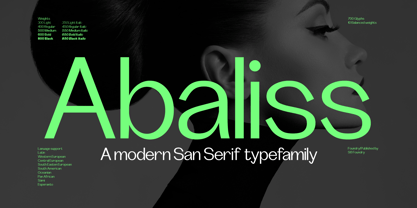 Abaliss Sans Police Poster 1