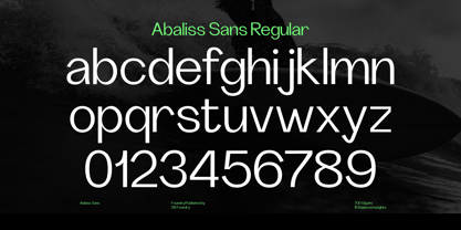 Abaliss Sans Police Poster 5