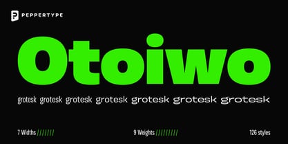 Otoiwo Grotesk Font Poster 1