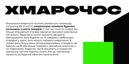 Otoiwo Grotesk Font Poster 13