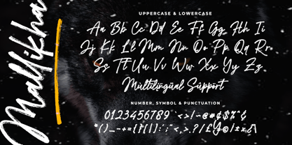 Mallikha Brush Font Poster 5