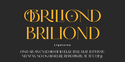 Briliond Font Poster 9