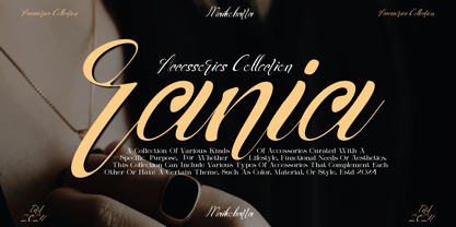 Anicha Script Font Poster 2