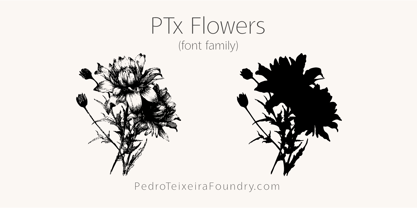 PTx Flowers Font Poster 2