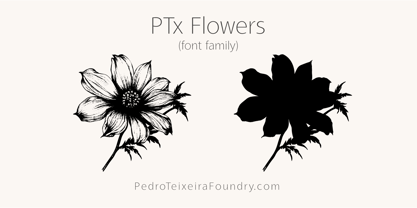 PTx Flowers Font Poster 6
