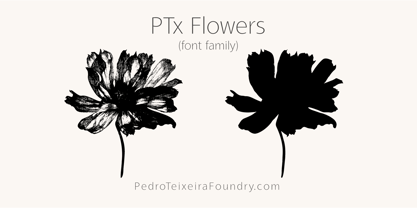 PTx Flowers Font Poster 3