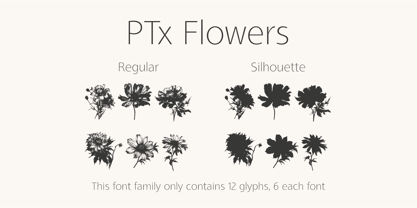 PTx Flowers Font Poster 1