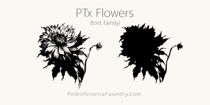 PTx Flowers Font Poster 5