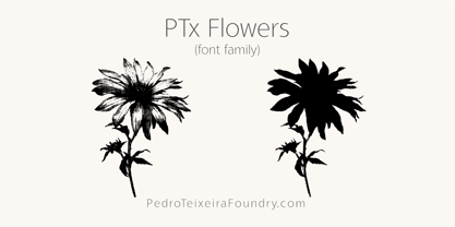 PTx Flowers Font Poster 7