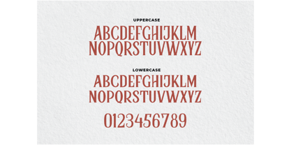 Bellfast Serif Vintage Font Font Poster 7