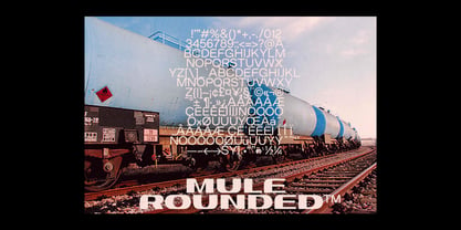 Mule Cargo Font Poster 7