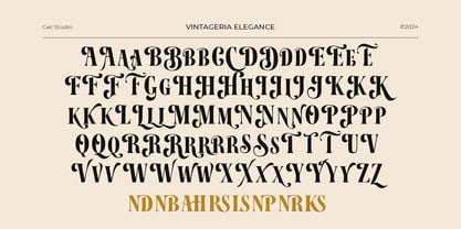 Vintageria Elegance Font Poster 15