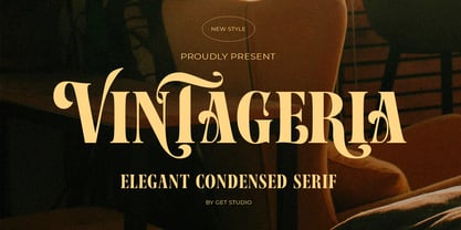 Vintageria Elegance Font Poster 9