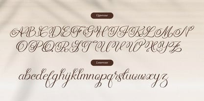 Rellydon Font Poster 10