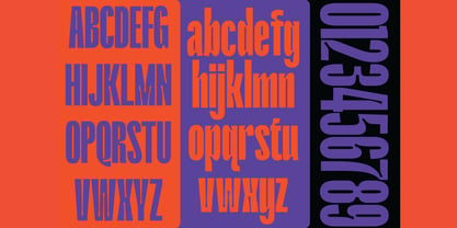 Anza Font Poster 6