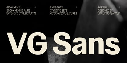 VG Sans Font Poster 1